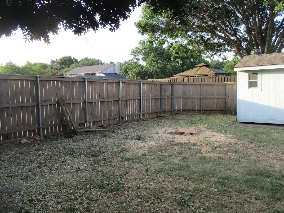 Cleared yard after professional tree removal in Honeyville