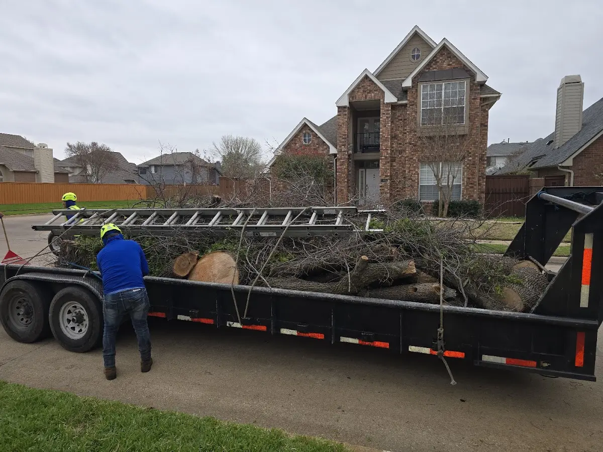 Expert Tree Fertilization with proper safety equipment in Honeyville